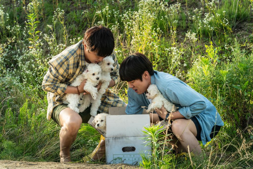 《極限長征》狗狗電影推薦 12部日韓歐美感人作品：毛小孩帶給你哭笑感動！